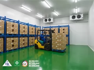 Understanding the Purpose of a Cold Room in a Basement